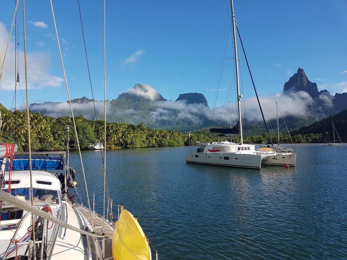2 Nuits Insolites & 1 Excursion Voile A Bord Du Voilier Mori Ora Moorea Eksteriør bilde